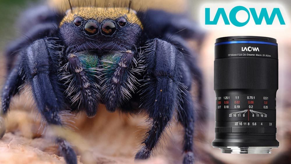 Laowa Lenses