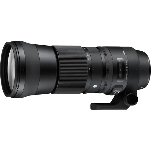 Main Image Sigma 150-600 f/5-6.3 DG OS |Contemporary (Nikon) Lens