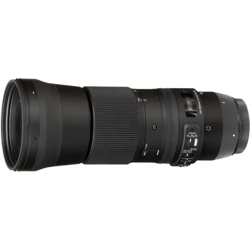 4. Sigma 150-600 f/5-6.3 DG OS |Contemporary (Nikon) Lens