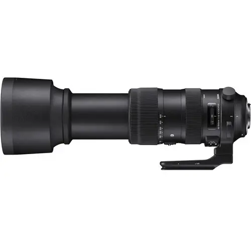 2. Sigma 60-600mm F4.5-6.3 DG OS HSM | Sport (Canon) Lens