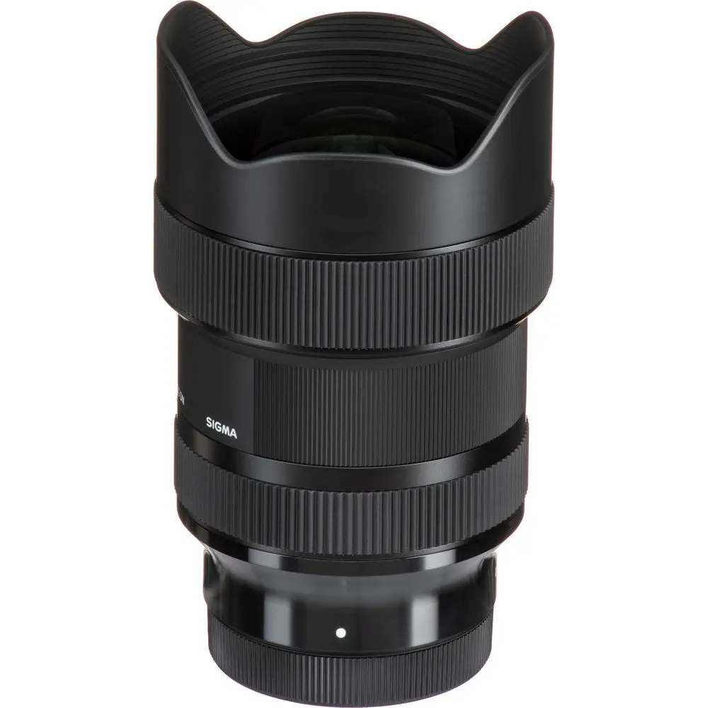 3. Sigma 14-24mm F2.8 DG HSM | Art (Leica L) Lens