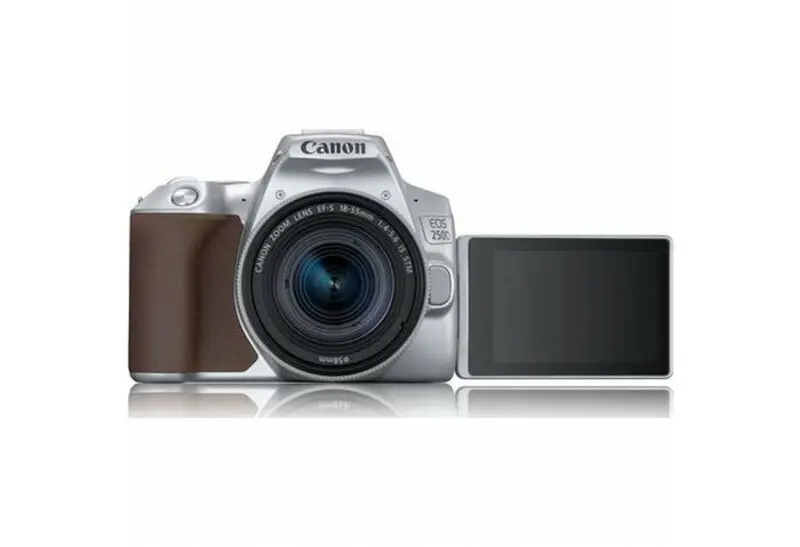 1. Canon EOS 250D kit (18-55 STM) Silver Camera