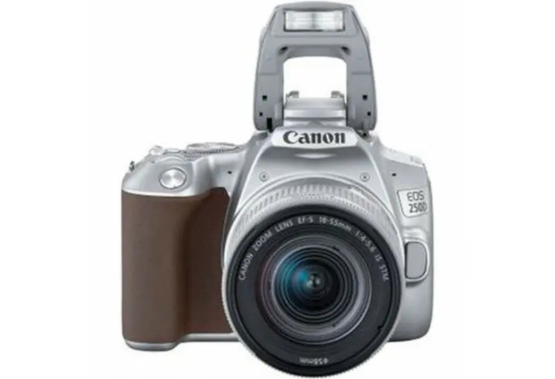 3. Canon EOS 250D kit (18-55 STM) Silver Camera