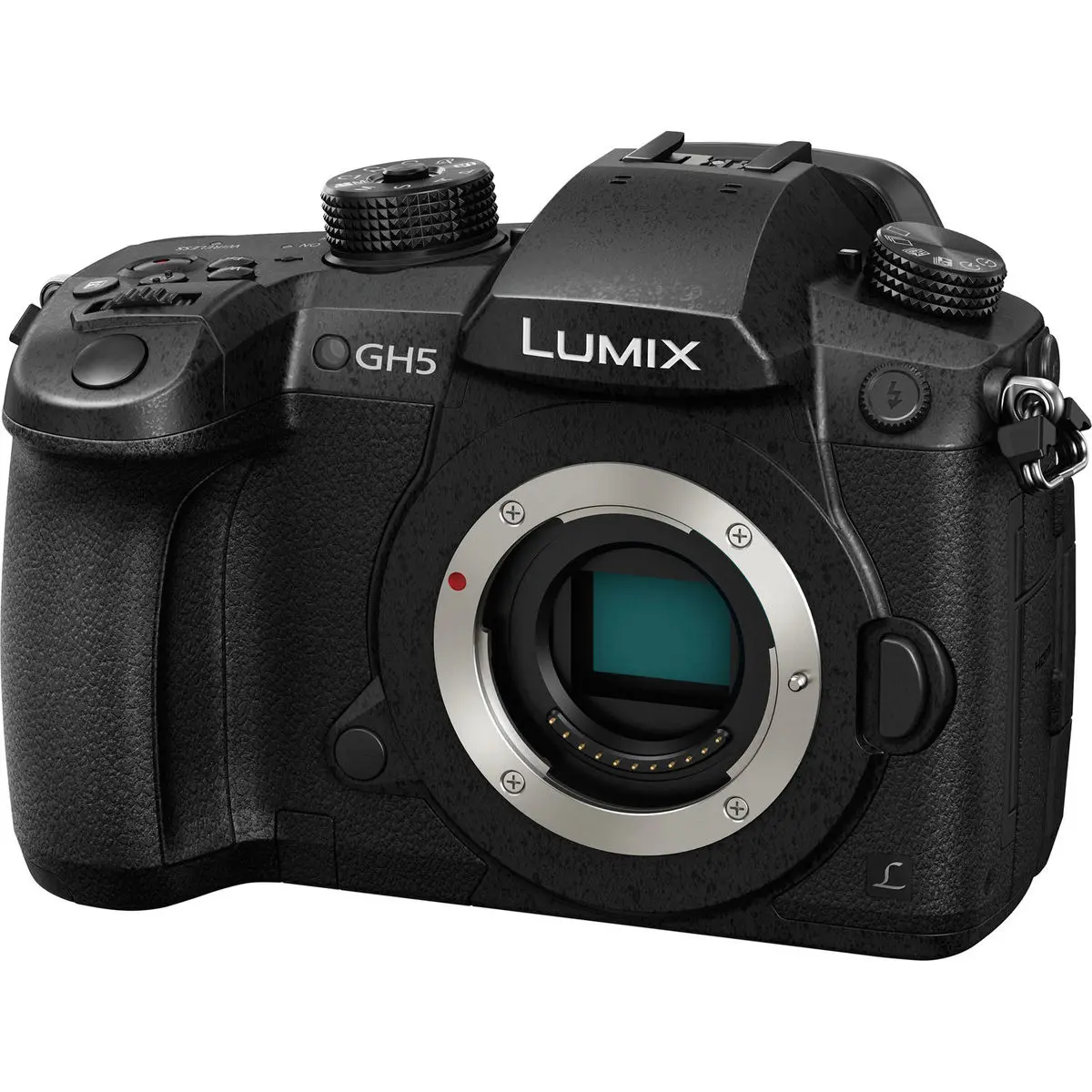 1. Panasonic Lumix DC-GH5 kit (12-60 f2.8-4) Camera