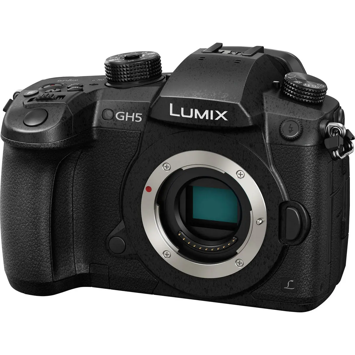 1. Panasonic Lumix DC-GH5 Body Camera