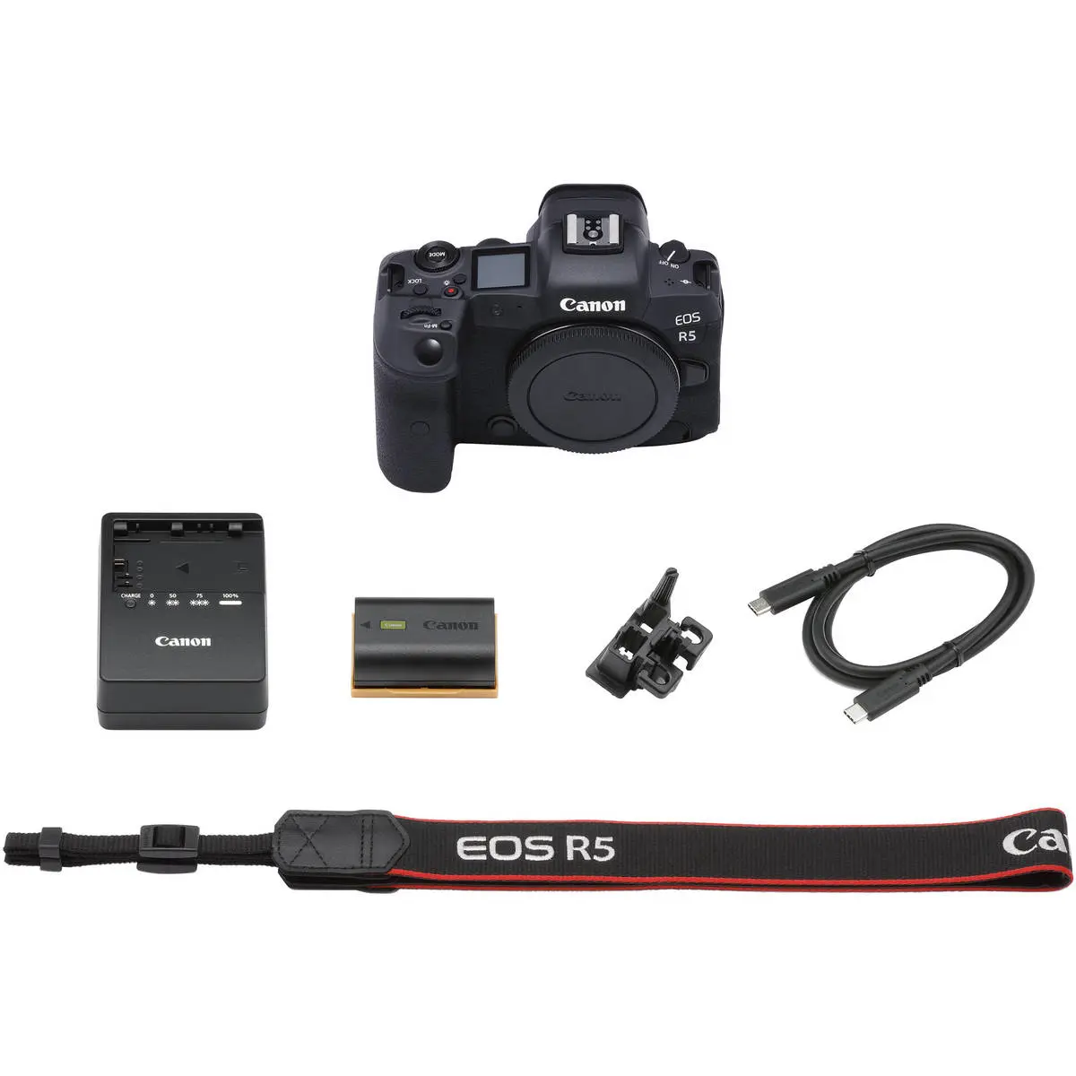 5. Canon EOS R5 Body (with adapter)