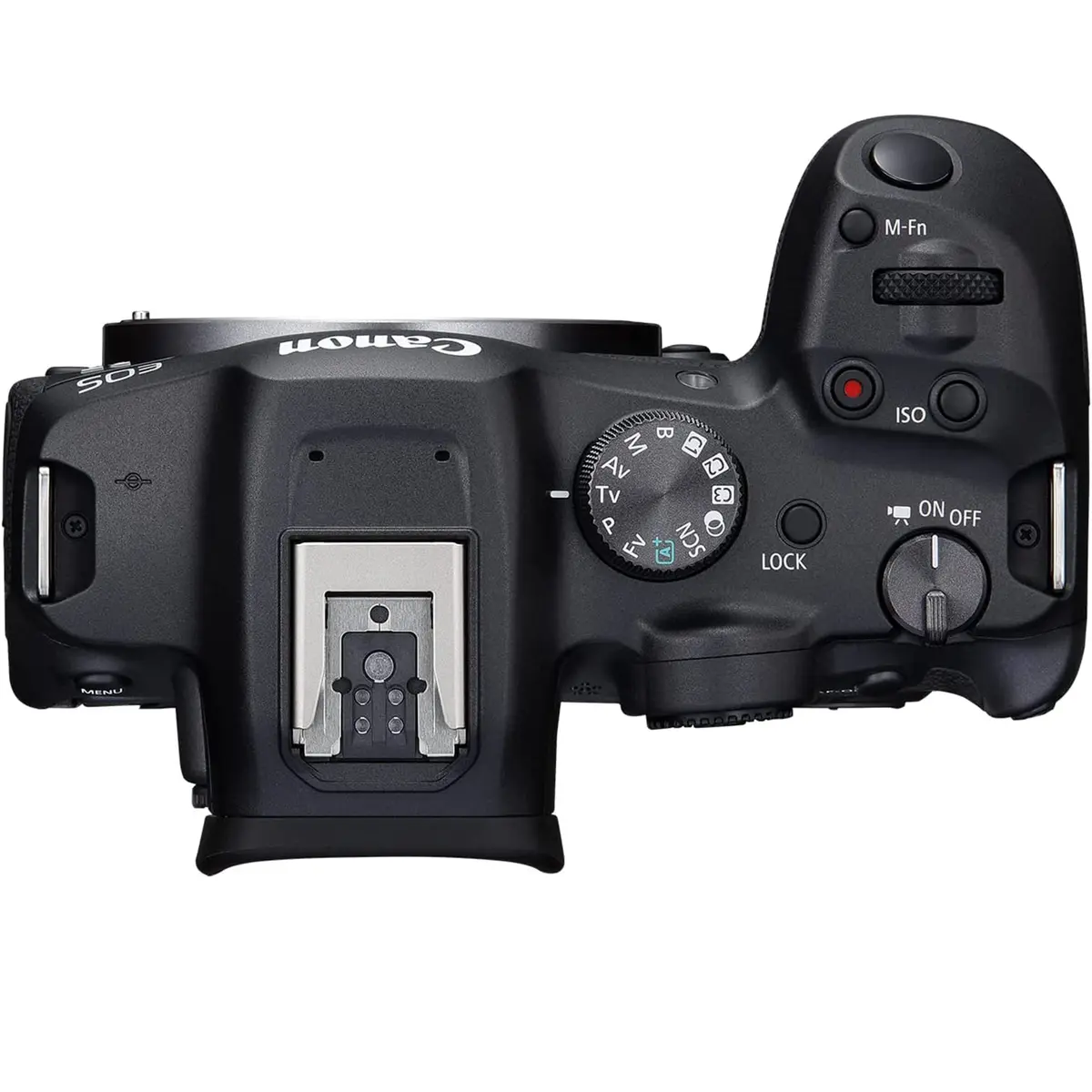2. Canon EOS R7 Body (with adapter)