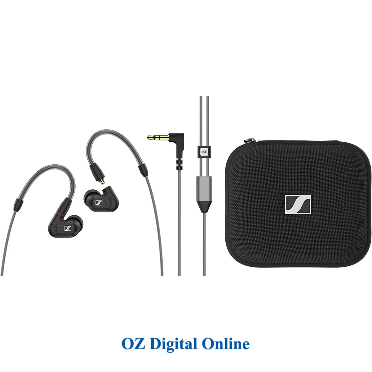 2. Sennheiser IE 300 In-Ear Headphones