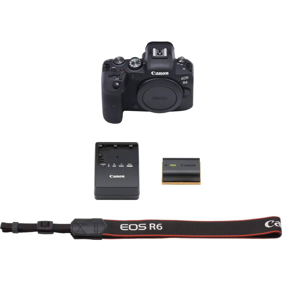 4. Canon EOS R6 II Body (with adapter)