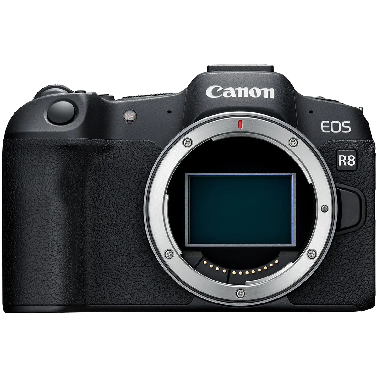 Main Image Canon EOS R8 Body (with adapter)