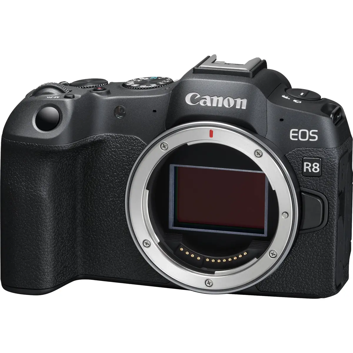 1. Canon EOS R8 Body (with adapter)