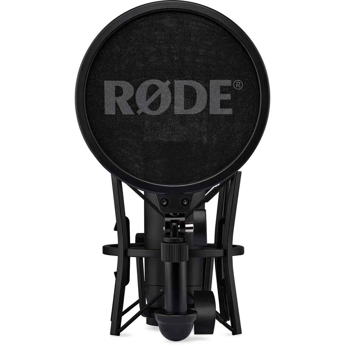 2. Rode NT1 5th Generation Hybrid Microphone (Black)