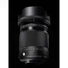 6. Sigma 18-300mm F3.5-6.3 DC MACRO OS HSM | C (Nik) Lens thumbnail