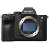 Sony A7R Mark IV A thumbnail