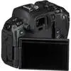 4. Canon EOS R Body (with adapter) thumbnail