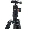 3. Fotopro X-GO Plus + 52Q 4S CF Tripod Kit thumbnail