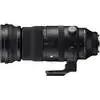 Sigma 150-600mm f/5-6.3 DG DN OS | Sport (Sony E) thumbnail