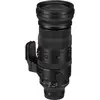 Sigma 150-600mm F5-6.3 DG DN OS | Sports (Leica L) thumbnail