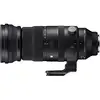 5. Sigma 150-600mm F5-6.3 DG DN OS | Sports (Leica L) thumbnail
