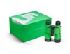 2. Leica Trinovid 8 x 40 LIFE edition (40724) thumbnail