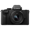Panasonic Lumix DC-G100D Body thumbnail