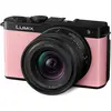 1. Panasonic Lumix DC-S9N Kit (18-40) Pink thumbnail