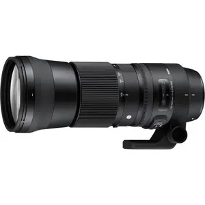 Sigma 150-600 f/5-6.3 DG OS |Contemporary (Nikon) Lens