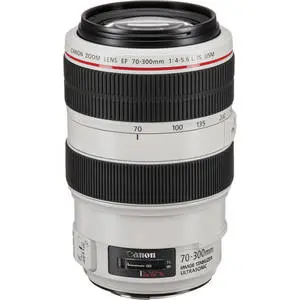 1. Canon EF 70-300mm 70-300 f/4/F4-5.6 L IS USM thumbnail