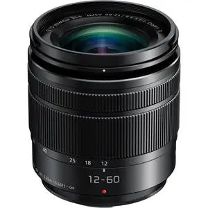 Panasonic Lumix G 12-60mm f/3.5-5.6 Asph. OIS Lens