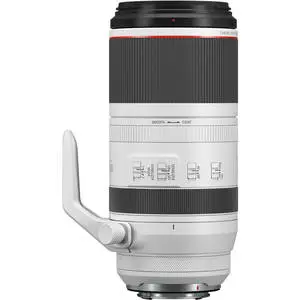3. Canon RF 100-500mm F4.5-7.1L IS USM thumbnail
