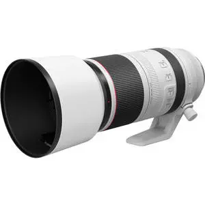 4. Canon RF 100-500mm F4.5-7.1L IS USM thumbnail