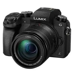 Panasonic Lumix DC-G100M (12-60mm F3.5-5.6)