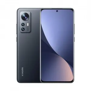 Xiaomi Mi 12 Pro 5G Dual 256GB Gray (12GB)