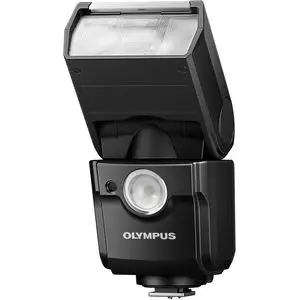 2. Olympus Electronic Flash FL-700WR thumbnail