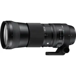 Sigma 150-600mm F5-6.3 DG OS HSM|C+TC-1401 (Nikon)
