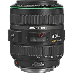 1. Canon EF 70-300mm f/4.5/F4.5-5.6 DO IS USM thumbnail