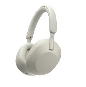 Sony WF-1000X M5 Wireless NC Headphones Silver