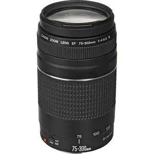Canon EF Lens 75-300mm f/4-5.6 III