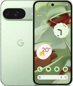 Google Pixel 9 256GB Wintergreen(12GB)
