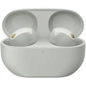 Sony WF-1000X M5 Wireless NC Earphones P.Silver