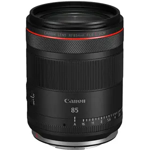 Canon RF 85mm F1.4L VCM
