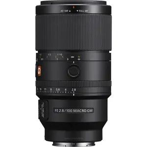 Sony FE 100mm F2.8 Macro GM OSS