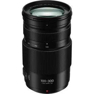 Panasonic Lumix G Vario 100-300mm f4-5.6 II OIS Lens